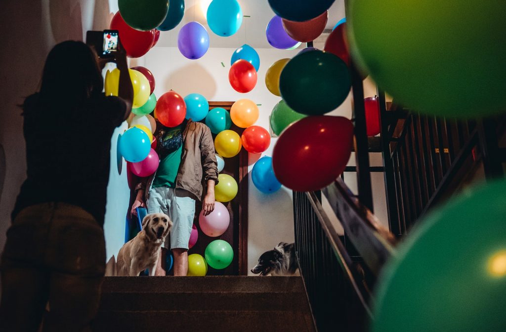 PetraSlobodnjak_DISPLACEMENTplaninska7_DSC_3510-min