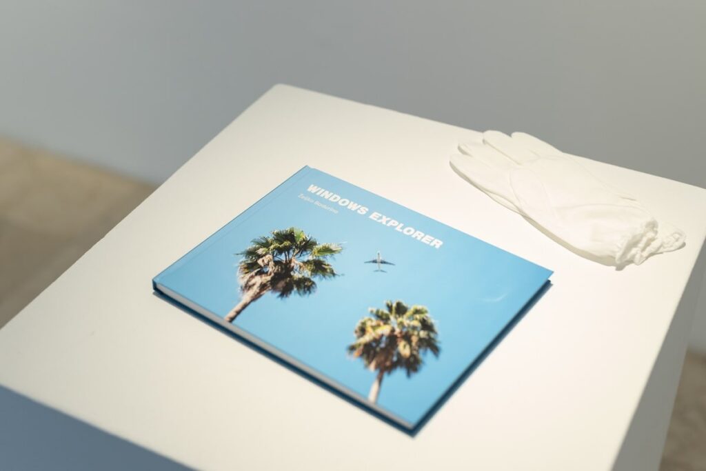 zeljkobadurina_windows-20-min