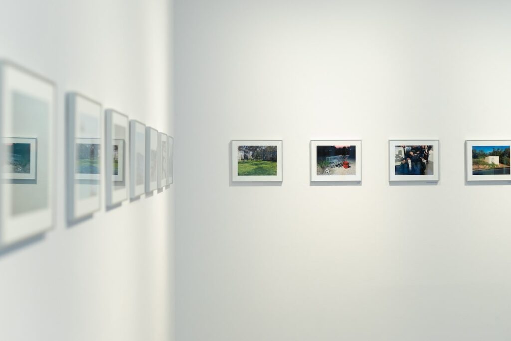 zeljkobadurina_windows-5-min